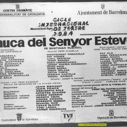 L'AUCA DEL SENYOR ESTEVE_ IV