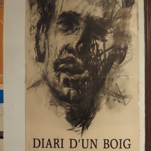 DIARI D'UN BOIG